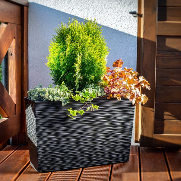 KADAX Urtepotte + Indsats Haveblomsterstativ Høj Terrasse Sort 19x56cm