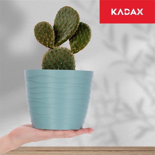 KADAX Urtepotte Låg Grøn Rund 15cm Plast