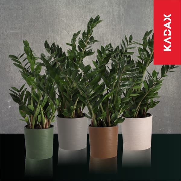KADAX Urtepotte, Urtepotte, Blomsterfod, 30 cm, til Stuen, Beige + Indsats
