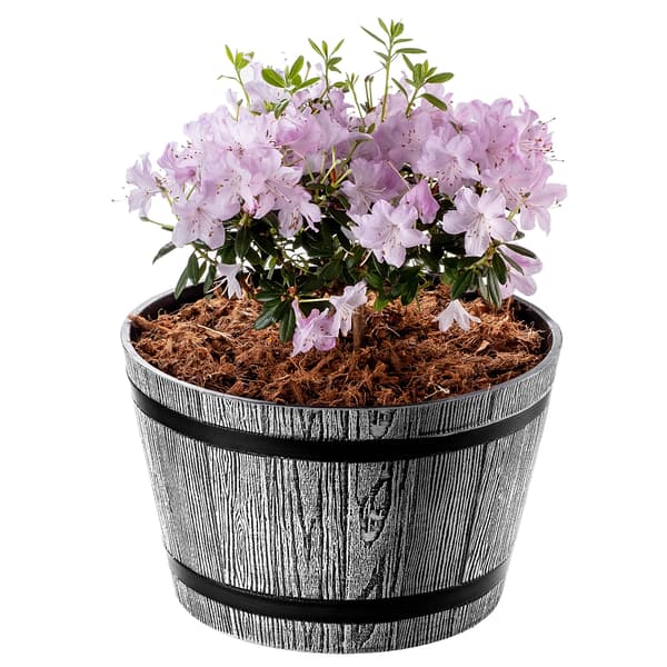 KADAX Urtepotte, Urtepotte, Haveovertræk, Rund, Plastik Blomsterfod, 30cm