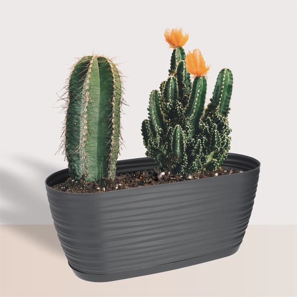 KADAX Urtepotte 27cm Oval Plastik Urtepotte Antracit
