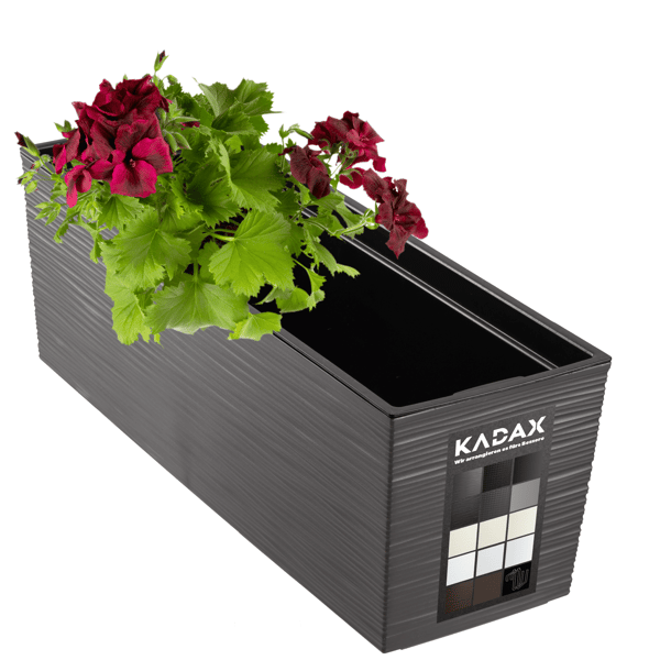 KADAX Urtepotte Balkonkasse med Indsats Blomsterstativ til Balustrade 19x56cm