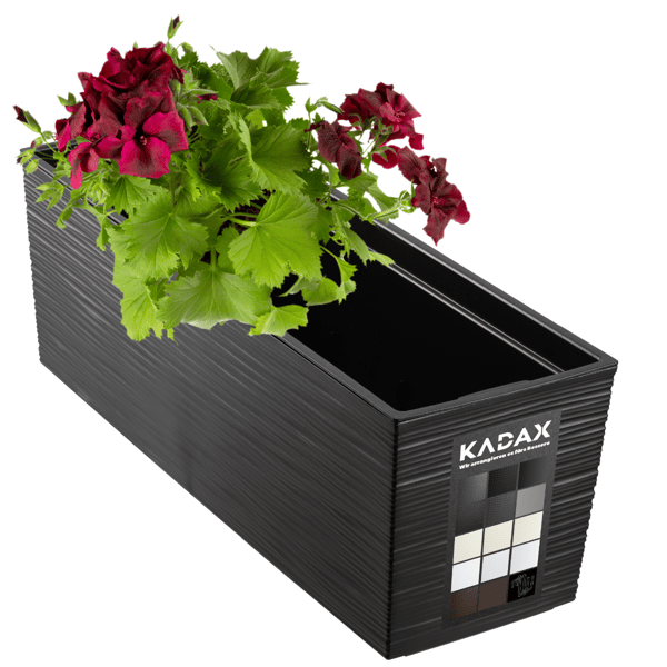 KADAX Urtepotte Balkonkasse med Indsats Blomsterstativ til Balustrade 19x56cm