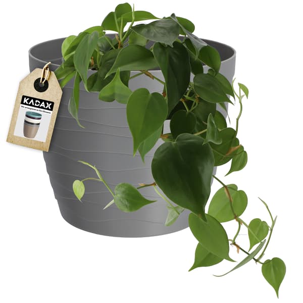 KADAX Urtepotte, Urtepotte, Grå, Rund, 13 cm, Plast
