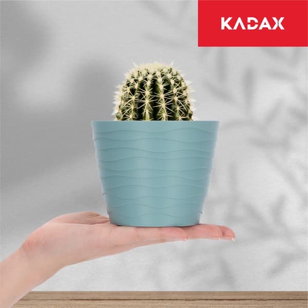 KADAX Urtepotte Låg Grøn Rund 11cm Plast