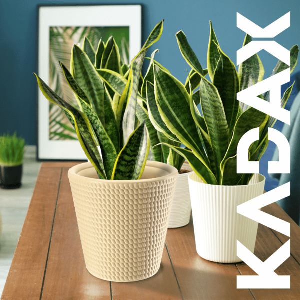 KADAX Urtepotte Plastik Rund 40 cm Beige