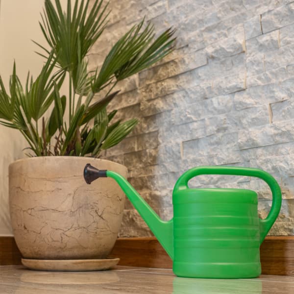 KADAX vandkande 2,5 l til vanding af blomster i haven, plastikvander