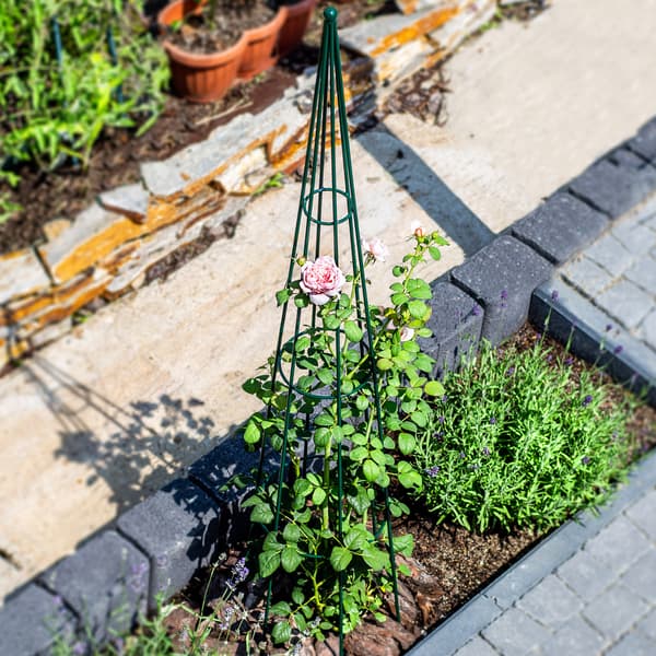 KADAX Støtte til Rosenplanter, Metal Blomsterklem, 150 cm