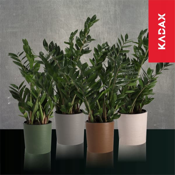 KADAX Urtepotte, Urtepotte, Blomsterfod, 19 cm, til Stuen, Beige + Indsats