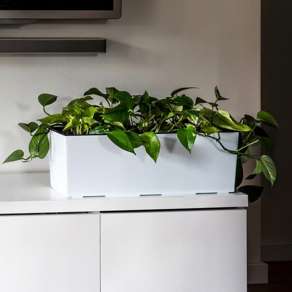 KADAX Urtepotte Balkonkasse med Indsats Blomsterstativ til Balustrade 19x56cm