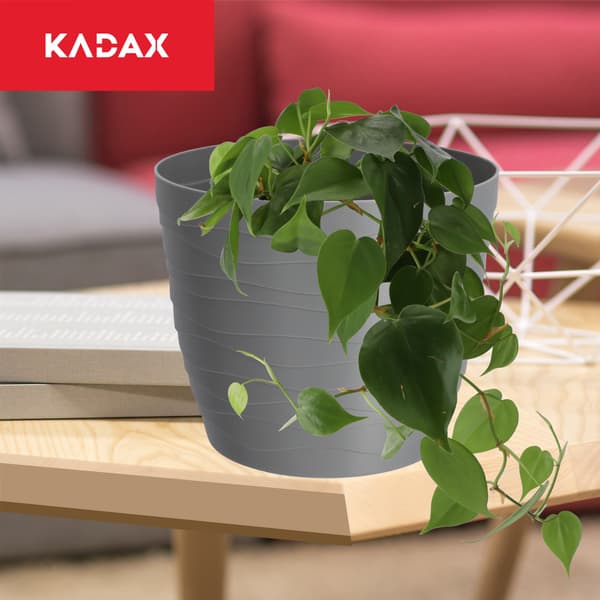 KADAX Urtepotte, Urtepotte, Grå, Rund, 11 cm, Plast