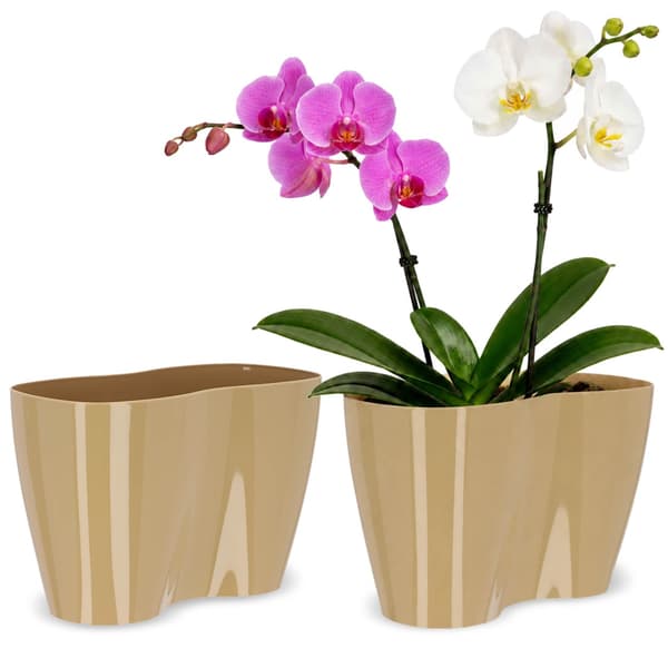 KADAX Blomkruka, Blomkruka, Plastblomkruka, Orkidé, 23 cm, Beige