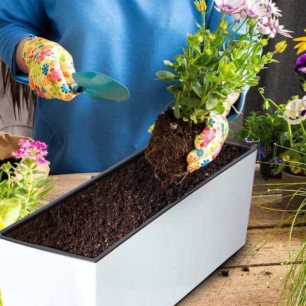 KADAX Urtepotte Balkonkasse med Indsats Blomsterstativ til Balustrade 19x56cm
