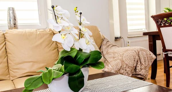 KADAX Orkidéstöd Blomväxtstödsfäste 46,5 cm 10x