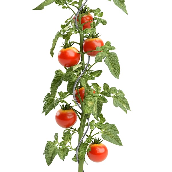 KADAX Spiralstång för tomater, bönor, gurkor, vinrankor, stöd 120 cm