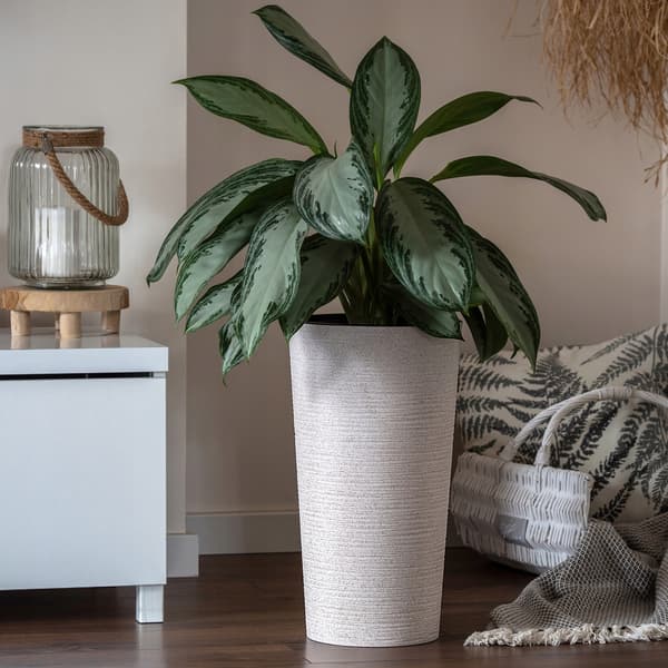 KADAX Blomkruka, Blomkruksskydd, Hög, 47 cm, Med Insats, För Vardagsrum, Beige