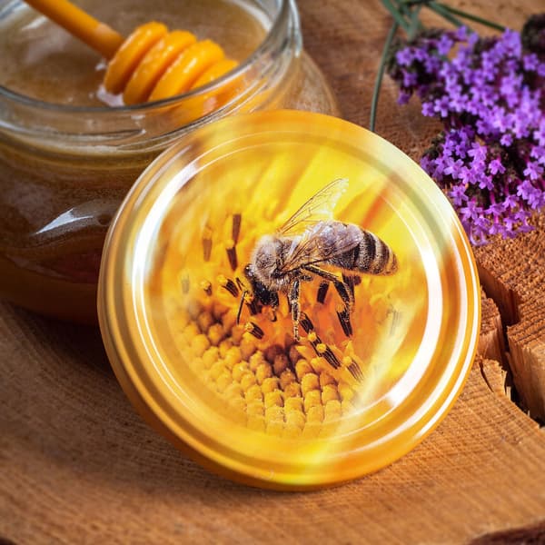 KADAX Sonka purkit 330ml 50kpl 82mm + "Bee" kansi