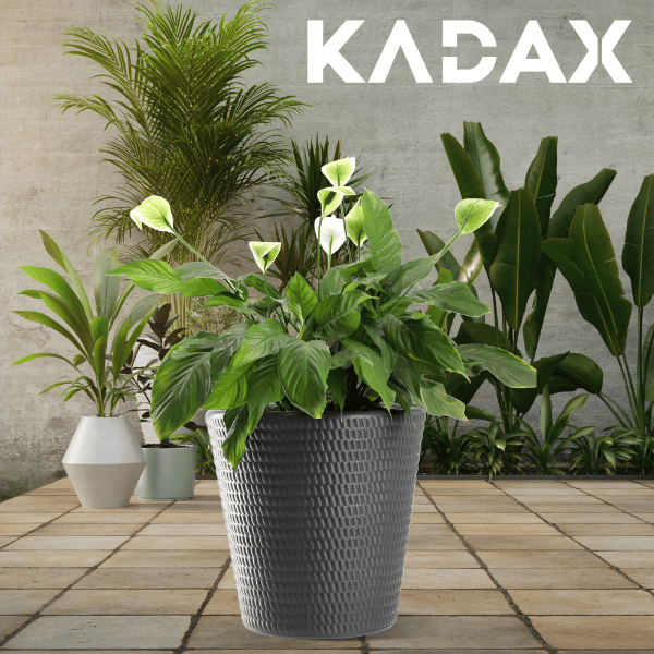 KADAX Urtepotte Plastik Rund 40 cm Antracit