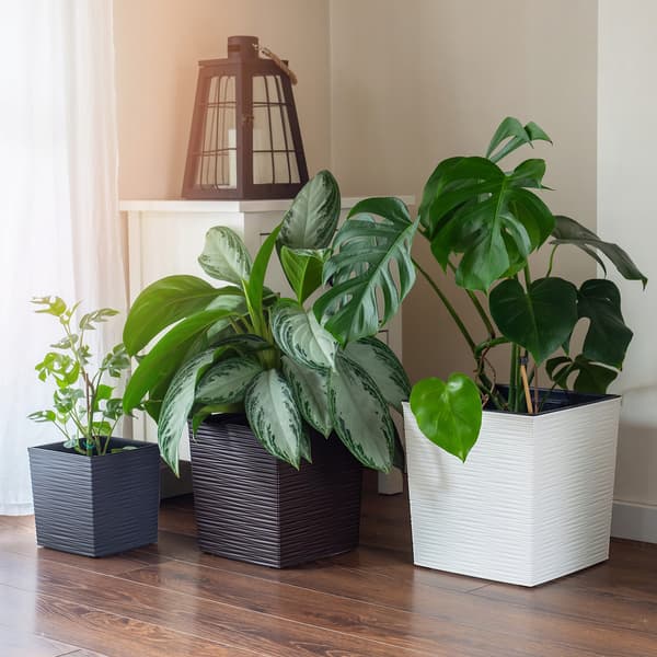 KADAX Urtepotte, Urtepotte, 40 cm, Grå Plastlåg, Med Indsats