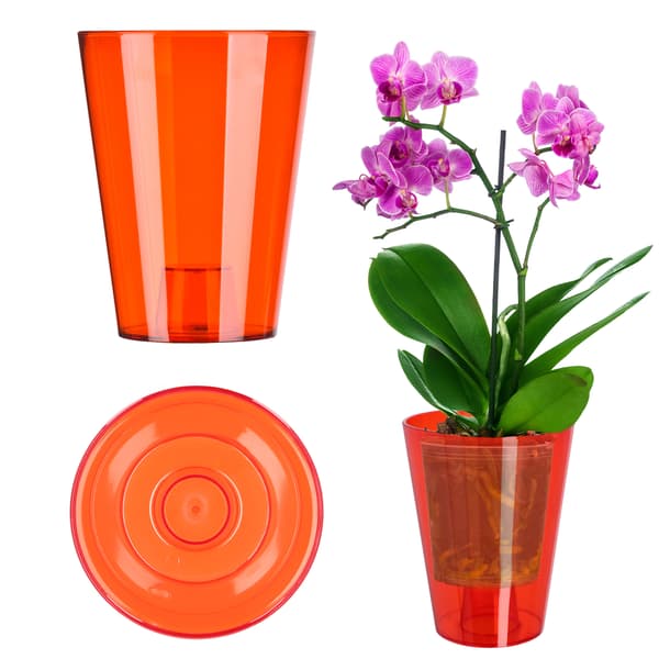 KADAX Blomkruka Orkidé Planter Plast Blomkruka Röd Stark 12cm