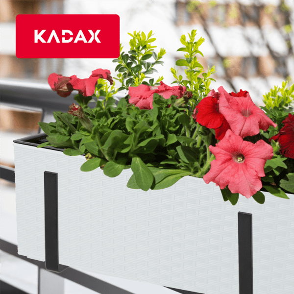 KADAX Urtepotte Balkonkasse med Indsats Blomsterfod 19x56cm + Håndtag