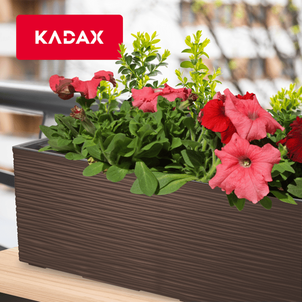 KADAX Urtepotte Balkonkasse med Indsats Blomsterstativ til Balustrade 19x56cm