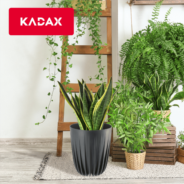 KADAX Urtepotte med Indsats 14,5x17cm Rund Plastindsats
