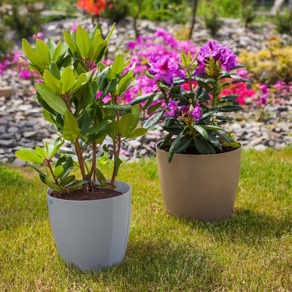 KADAX Urtepotte, Plantekasse, Låg, 20 cm, Blomsterfod, Grå Plast, 3 stk.