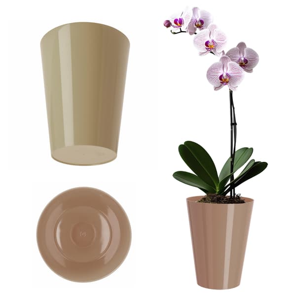 KADAX Blomkruka Orkidé Plast Blomkruka Beige Massiv 13cm