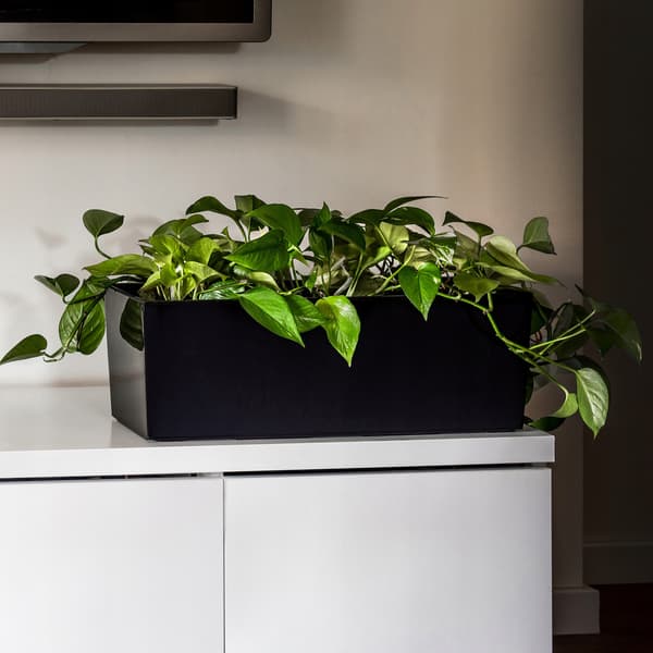 KADAX Urtepotte Balkonkasse med Indsats Blomsterfod Sort Gloss 19x56cm