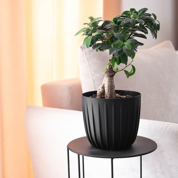 KADAX Urtepotte, Urtepotte, 20 cm Rund, Plast, Sort