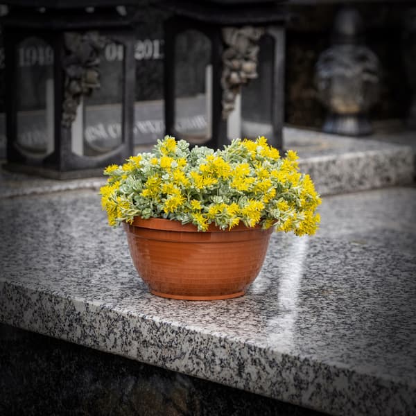 KADAX Blomkruka för kyrkogård Gravstensskål Krysantemum 13 cm