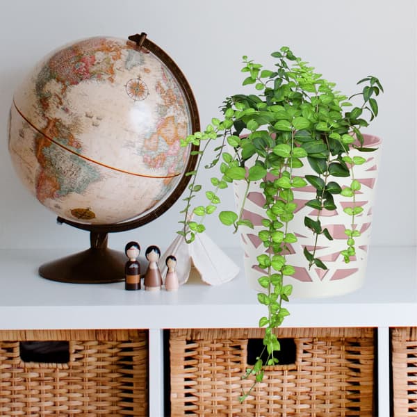 KADAX Urtepotte Plastik Lågindsats til Blomster og Planter 19 cm Pink