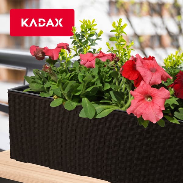 KADAX Urtepotte Balkonkasse med Indsats Blomsterstativ til Balustrade 19x56cm