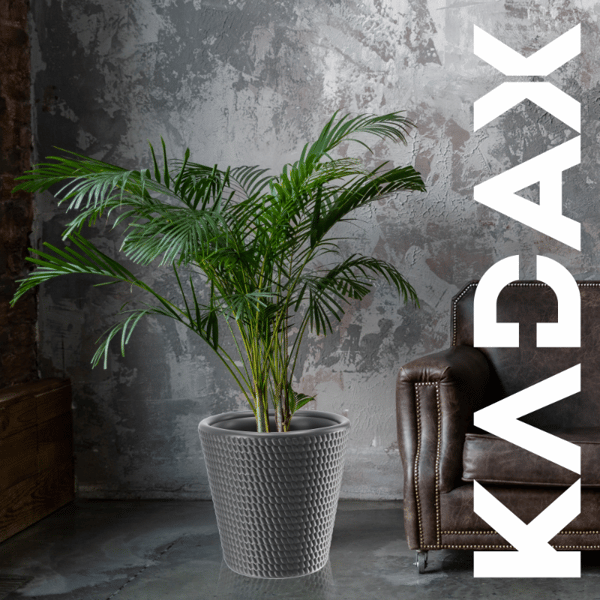 KADAX Urtepotte Plastik Rund 40 cm Antracit