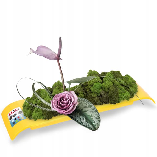 KADAX Urtepotteskjuler til Kompositioner til Dekorationer Ikebana Base Gul