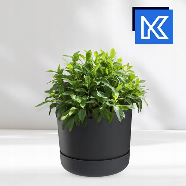KADAX Urtepotte med Blomsterfod, Låg, Rund Skål, 20 cm, Antracit