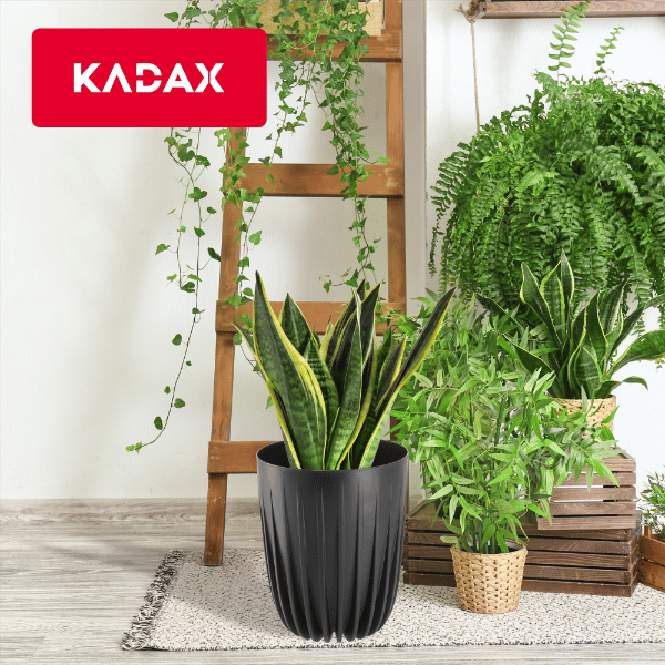 KADAX Urtepotte med Indsats 14,5x17cm Rund Plastindsats