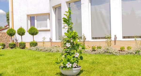 KADAX Støtte til Rosenplanter, Metal Blomsterklem, 150 cm