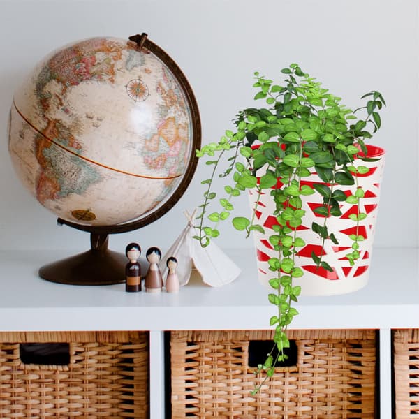 KADAX Urtepotte Plastik Lågindsats til Blomster og Planter 13 cm Rød