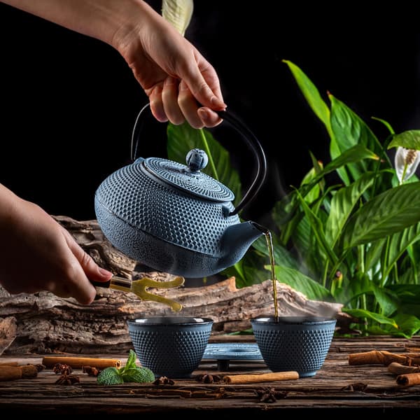 KADAX urtete-infuser støbejerns tekande 850ml kande kop blå