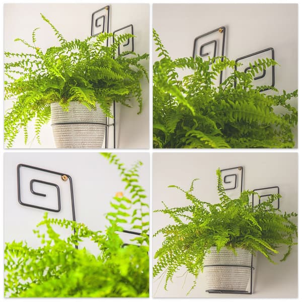 KADAX Metal væghængt blomsterstativ Loft til blomster, planter og potter