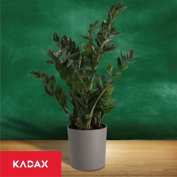 KADAX Urtepotte, Urtepotte, Blomsterfod, 30 cm, Grå, til Stuen + Indsats