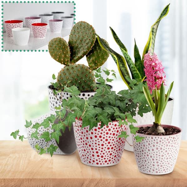 KADAX Urtepotte, Urtepotte, Rund Plastik Urtepotte, 19cm, Lyserød