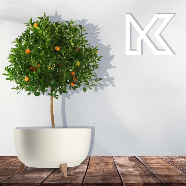 KADAX Blomkruka, Planter, Lock, Ben, Insats, Blomställning, 47 cm, Vit, Rund Skål