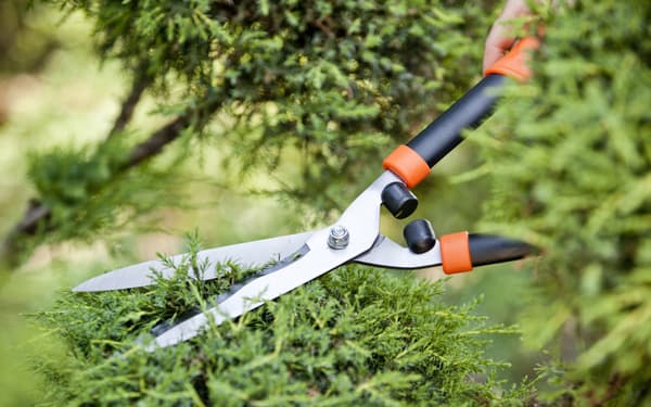 KADAX Manuell Häcksax Trädgårdssekatör 53cm Vass Lätt