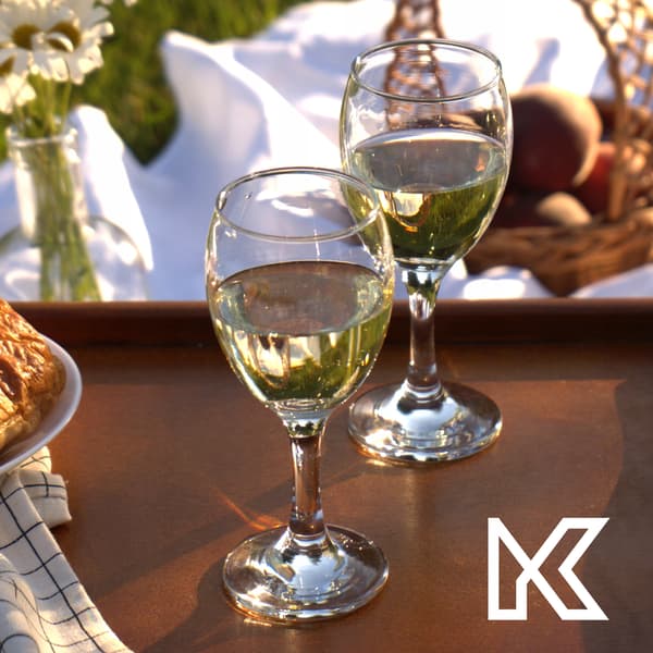 KADAX Vitvinsglas 6 delar 200 ml Set Elegant Glasset