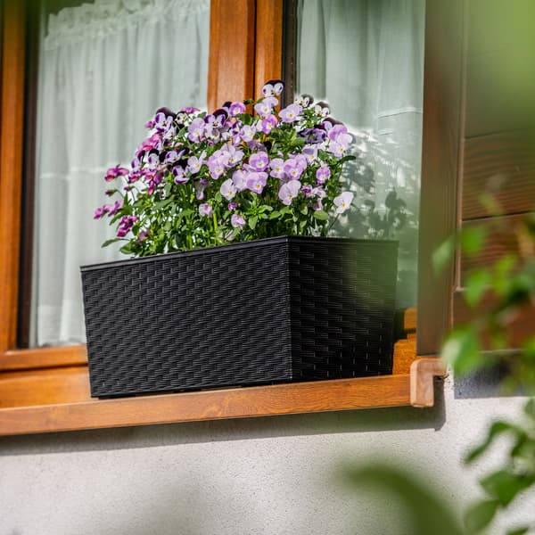KADAX Urtepotte Balkonkasse med Indsats Blomsterstativ til Balustrade 19x56cm