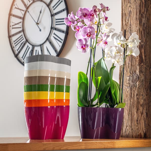 KADAX Urtepotte, Urtepotte, Plastik Urtepotte, Orkidé, 23 cm, Grå