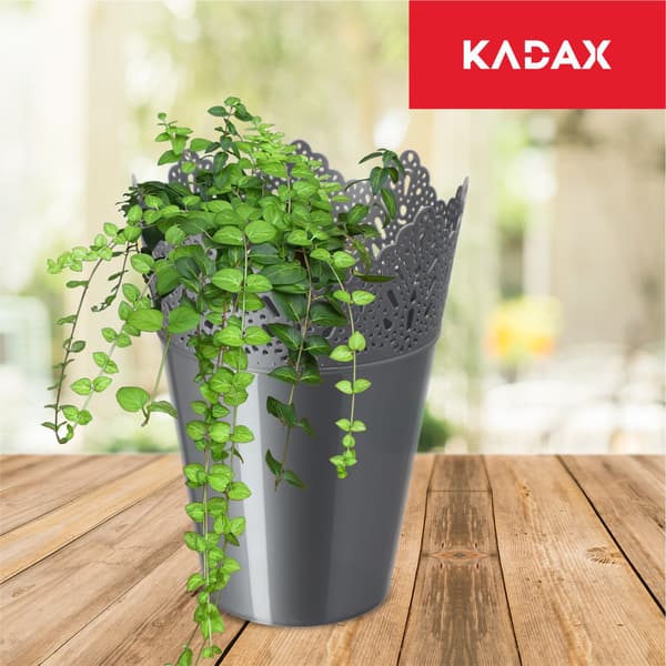 KADAX Urtepotte, Urtepotte, Låg, Høj Plastik Blomsterfod, 16,5 cm, Guld